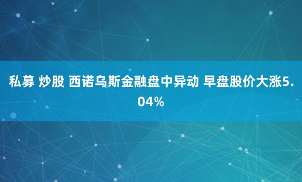 私募 炒股 西诺乌斯金融盘中异动 早盘股价大涨5.04%